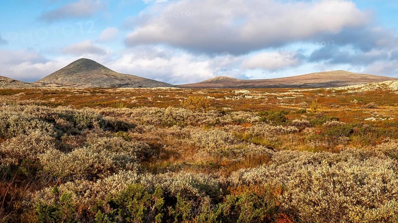 Autumn fells