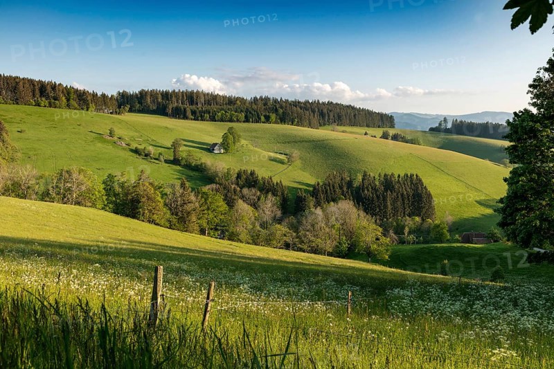Lonely farmhouse in hilly landscape