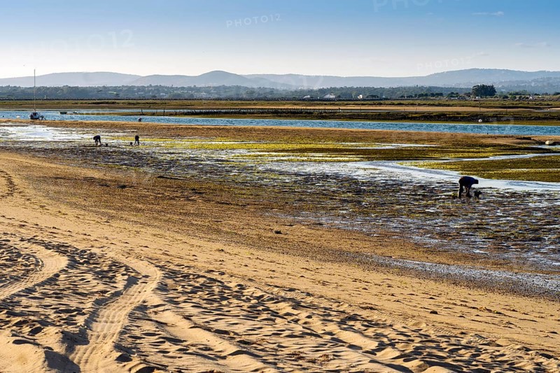 Ria Formosa during low tide with people gathering the seafood