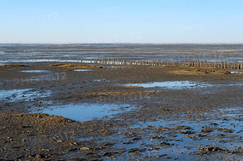 Low tide on the North Sea coast