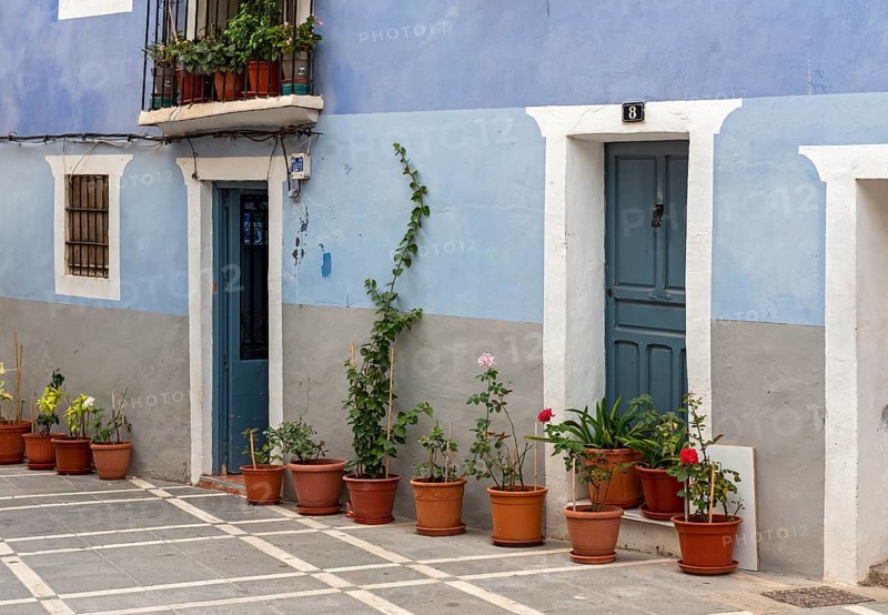 Blue House with flowerpots