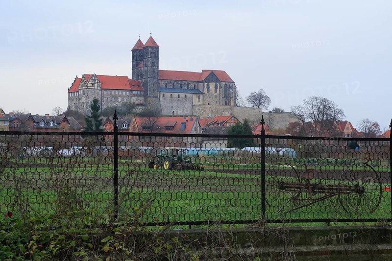 Schlossberg with Collegiate Church of St. Servatius