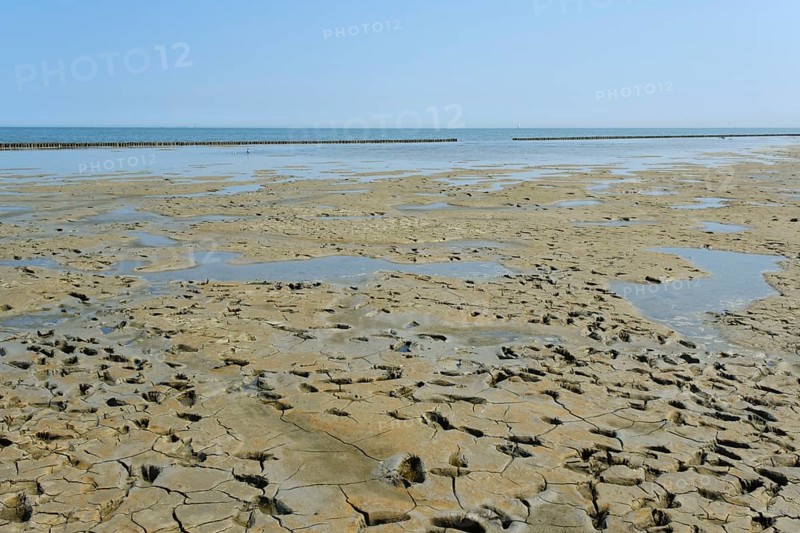 Footprints in the mudflats