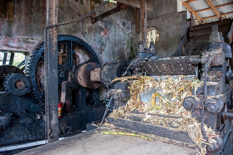 Sugar cane mill for traditional rum production