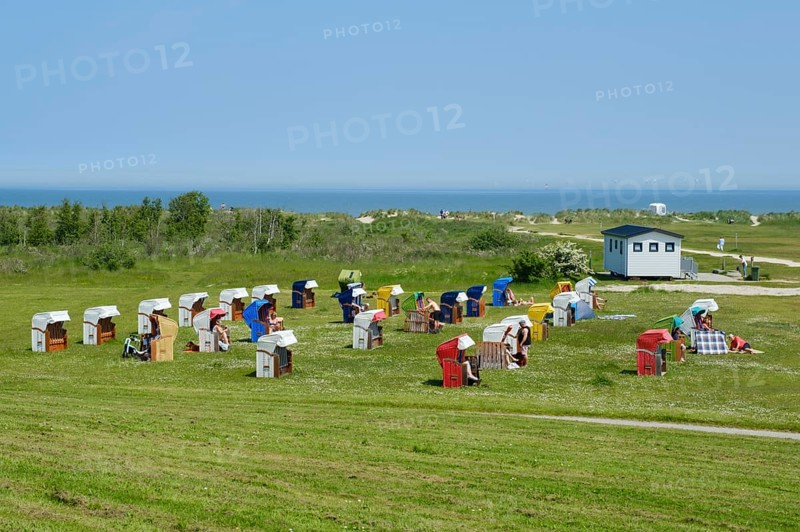 Beach chairs on the green beach