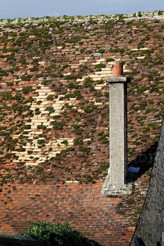 House roof in the Rue de Jouy
