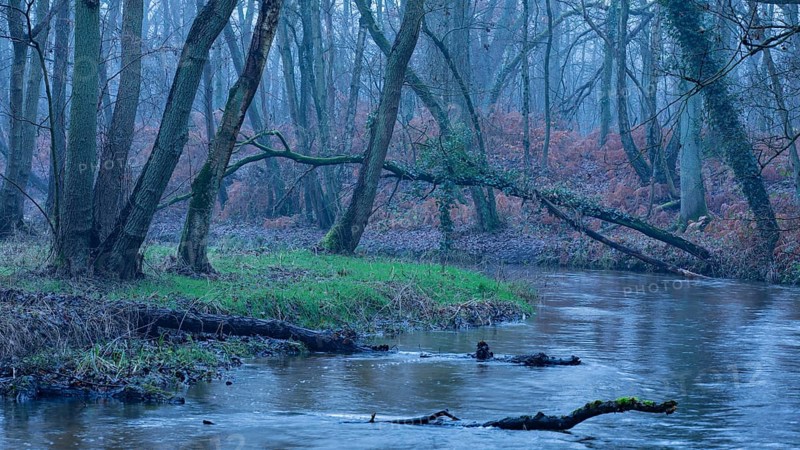 Winter on the Schwalm