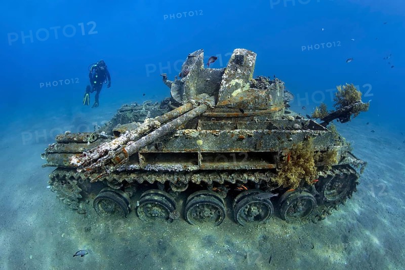 Diver