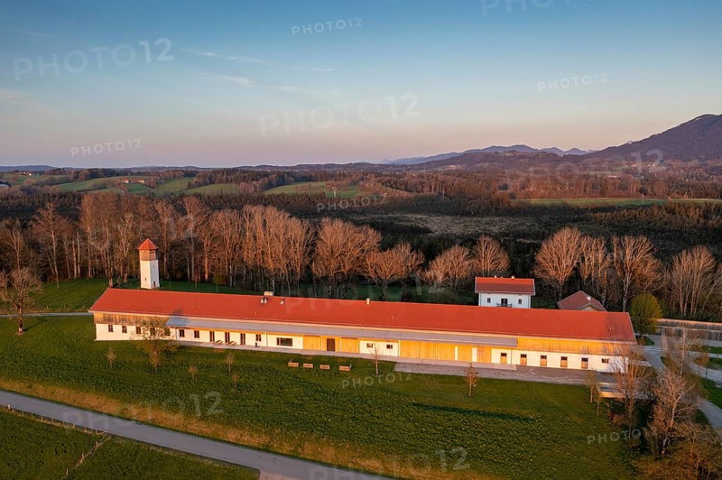 Art and Nature Foundation