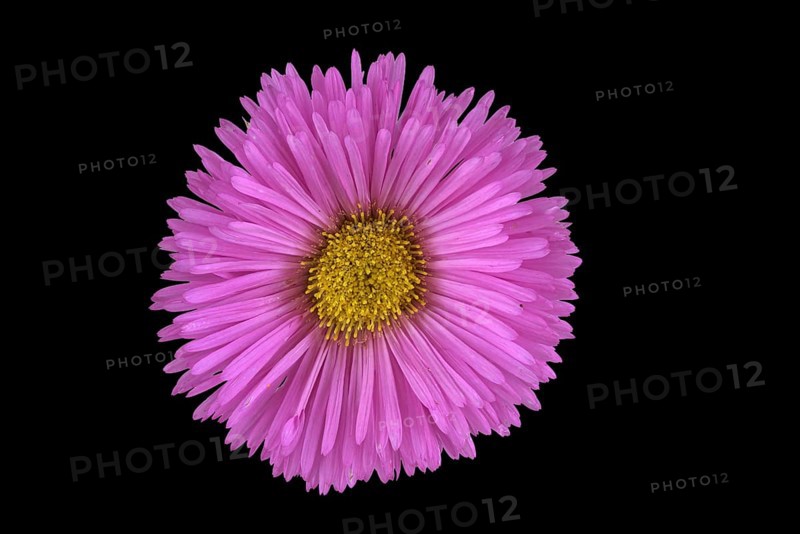 Fine beam aster