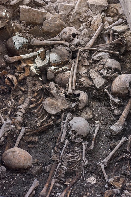 Bones found during recent excavations at St. Peter's Cathedral