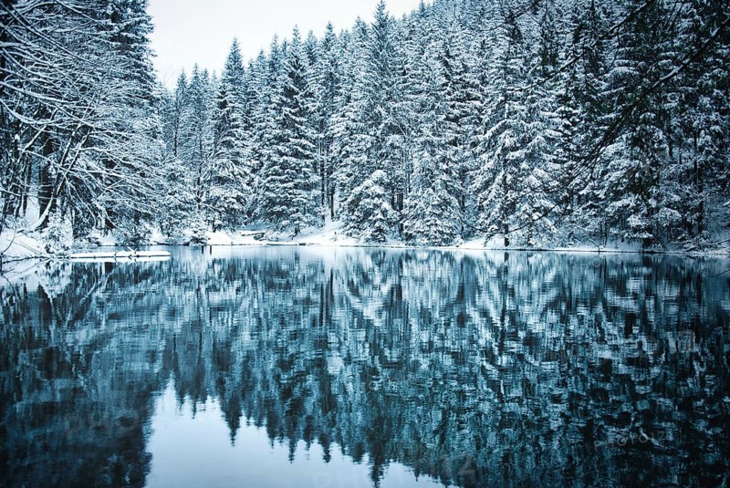 Lake in coniferous forest with snow