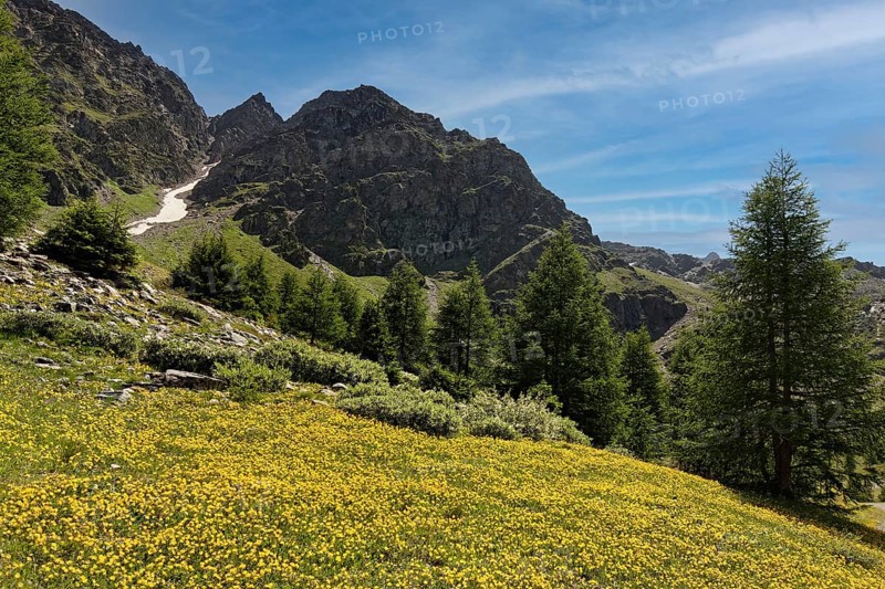 Ascent to the Schaubach Hut