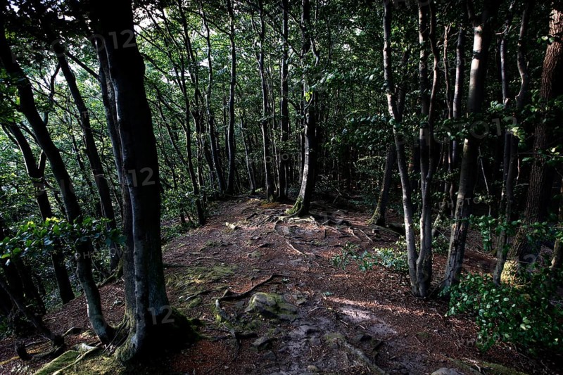 Hiking trail to the Teufelskanzel