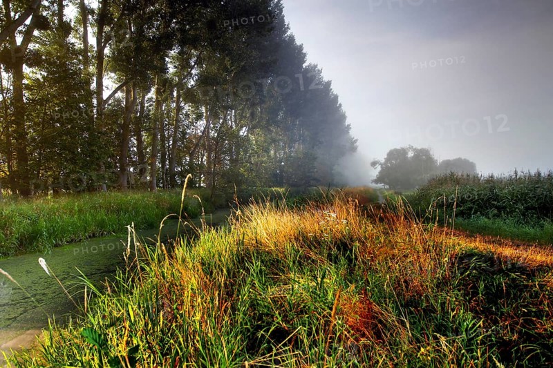 Grassland in the Droemling