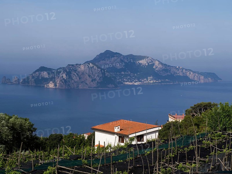Island of Capri