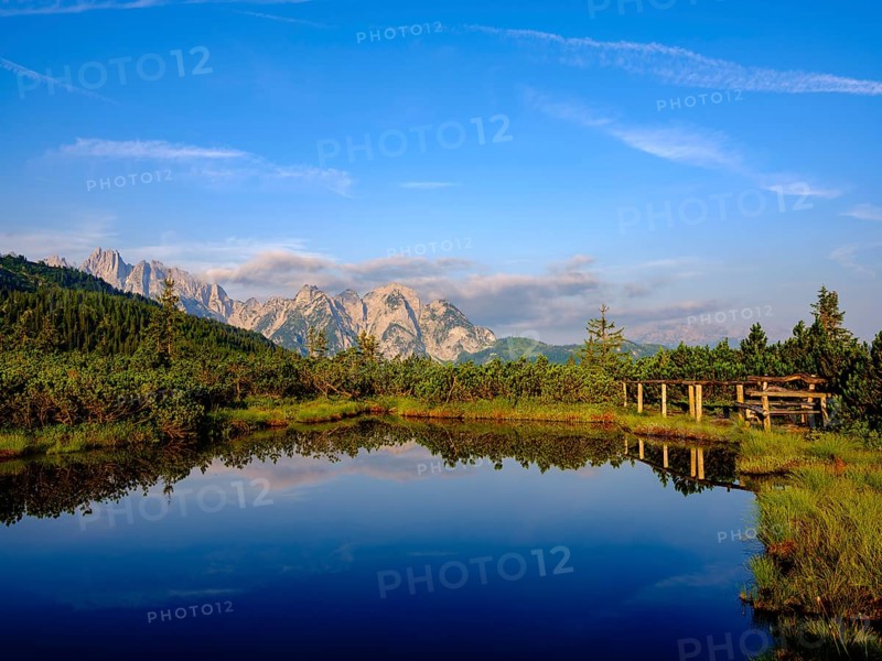 The peaks of the Gosaukamm are reflected in the moor lake at Loeckermoos