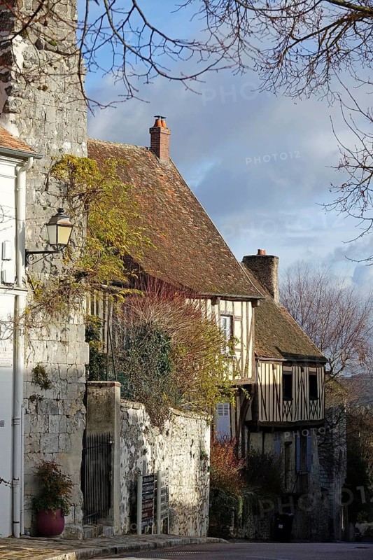 Half-timbered houses in the Rue Saint-Thibault