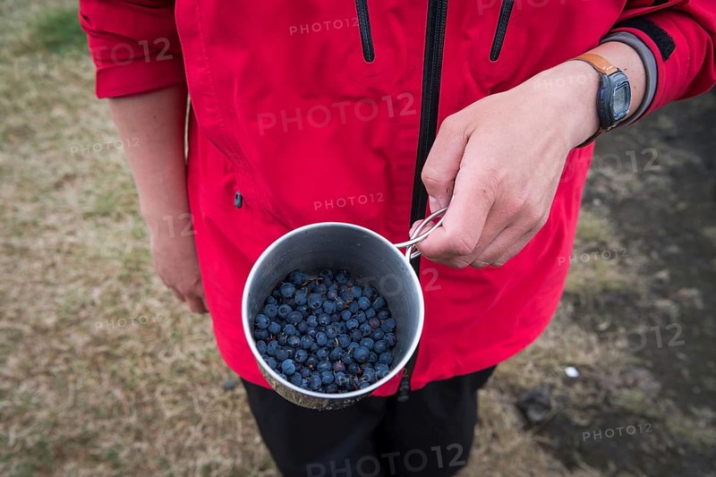 Tourist holding cup of European blueberry