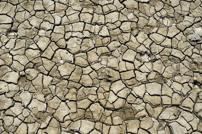 Cracks in the dry soil in the mudflats