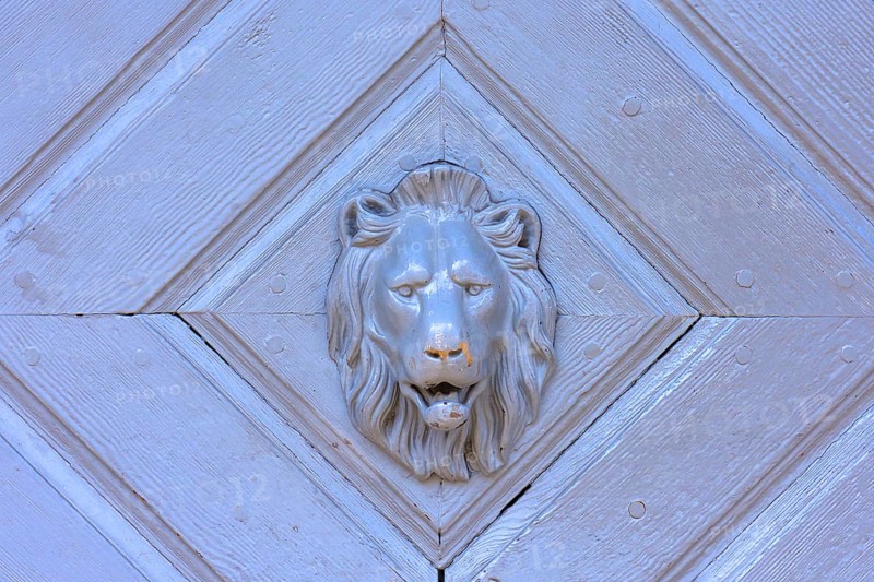 Lion's head as a door knocker on a gate