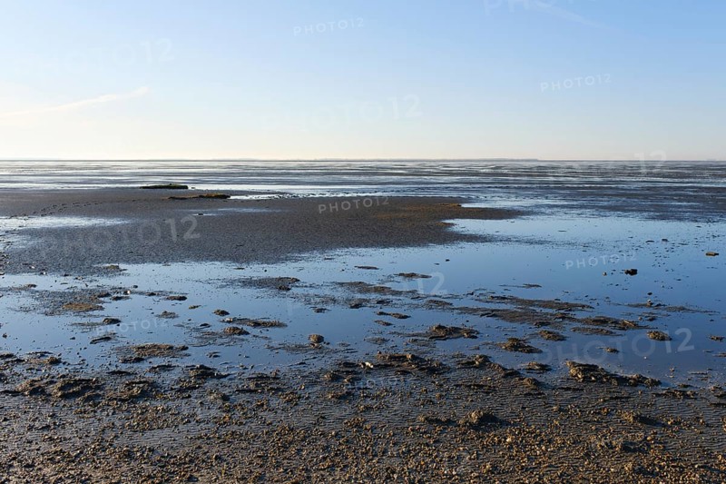 Low tide on the North Sea coast