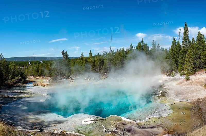 Emerald Spring