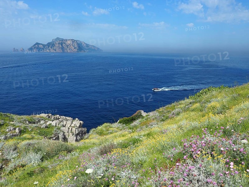 Isle of Capri