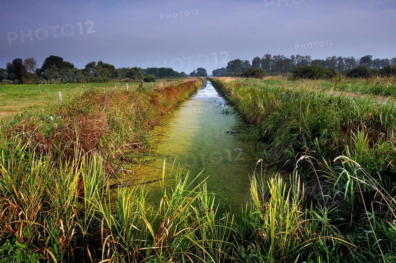 Grassland in the Droemling