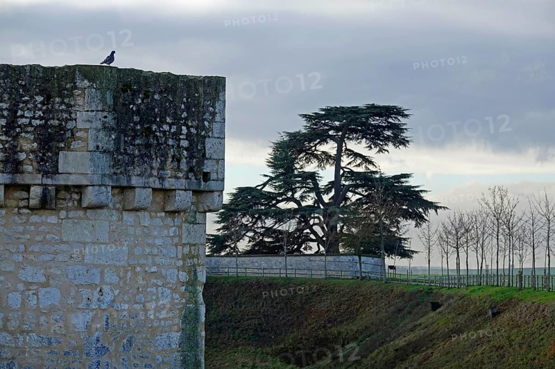City wall