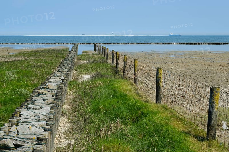 Wooden groynes and fence in the Lower Saxony Wadden Sea National Park