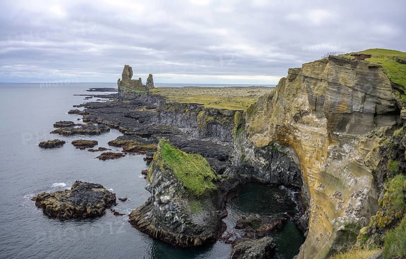 Breeding birds in the cliffs of Londrangar
