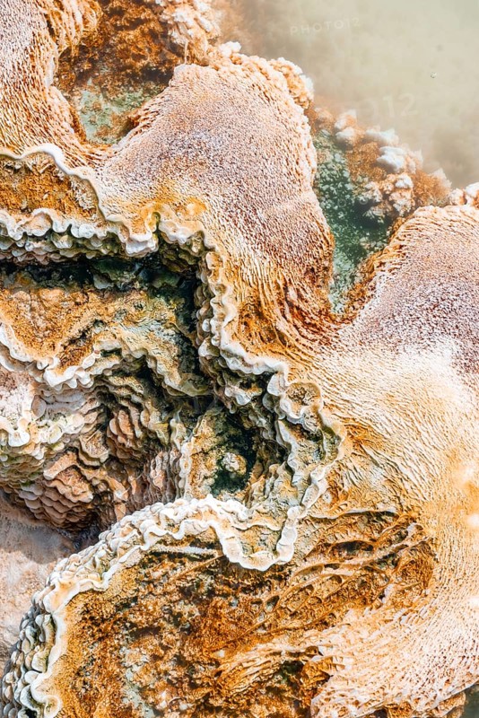Detail photo