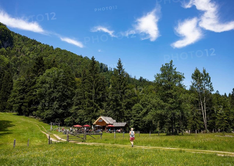 Hiker on the path from Schwarzensee to Moosalm Municipality of St.Wolfgang