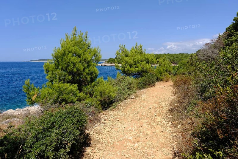 Hiking trail on the coast