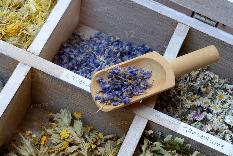 Various dried plants in wooden box with wooden shovel