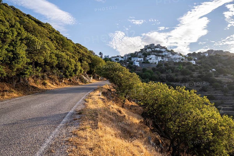 Road in the evening light