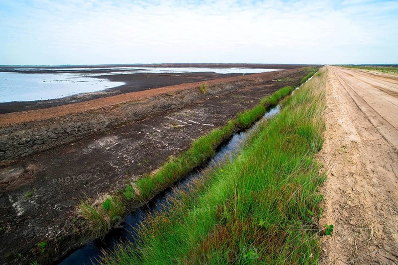 Moor landscape photograph