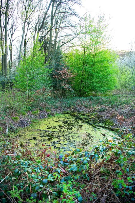 Bomb craters