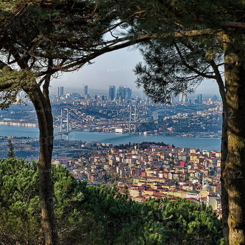 View from the hill
