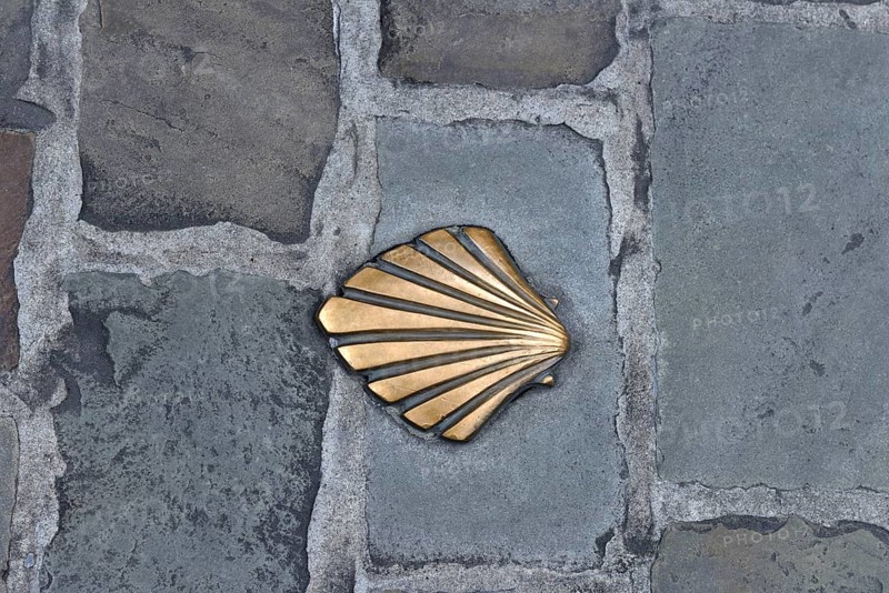 Scallop shell as a sign for the pilgrimage route/ Way of St. James to Santiago di Compostela