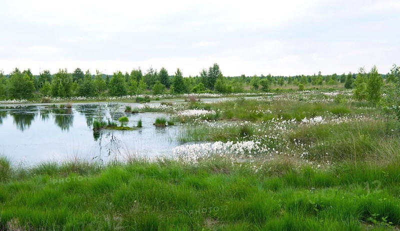 Landscape photograph Rehdener Geestmoor