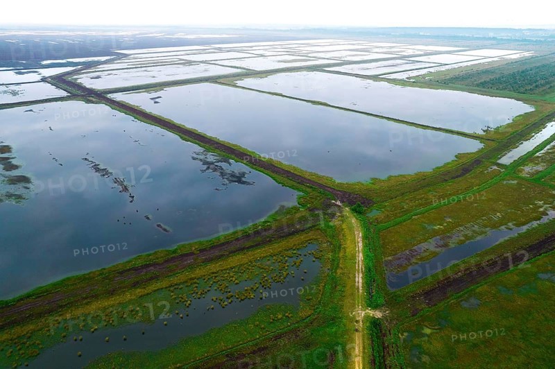 Moor aerial view