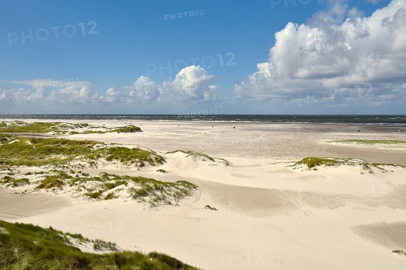Foredunes on broad Kniepsand