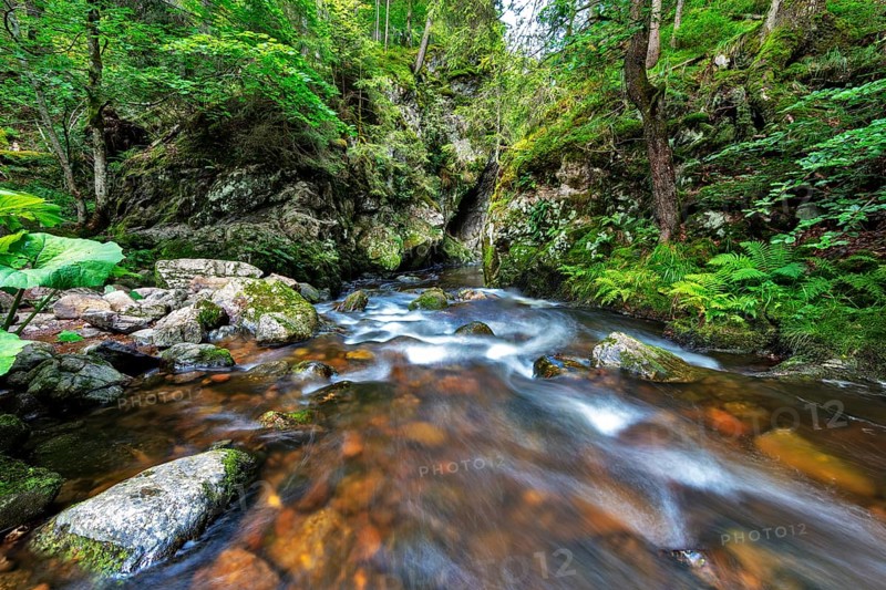 Haslachschlucht
