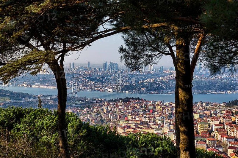 View from the hill