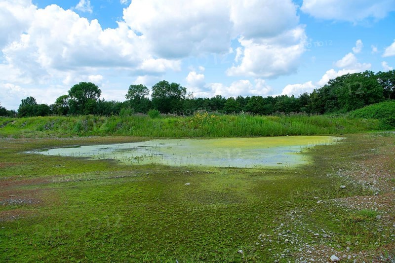 Nature conservation area