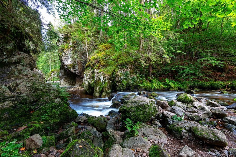 Haslachschlucht