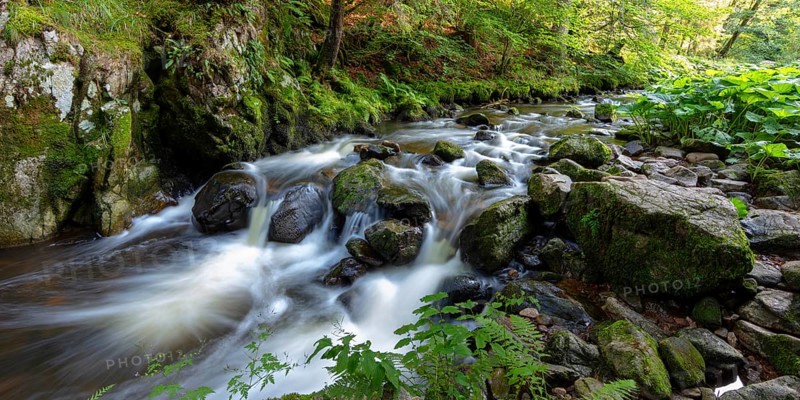 Haslach Gorge