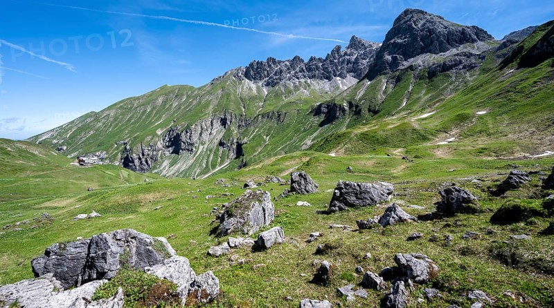 Rocks on an alpine meadow